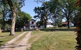 Amarante des Landes